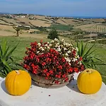 Il Trebbiatore *
