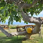 Il Trebbiatore San Costanzo