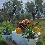 Il Trebbiatore Guest house San Costanzo