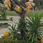 Guest house Il Trebbiatore San Costanzo