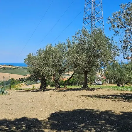 Il Trebbiatore San Costanzo