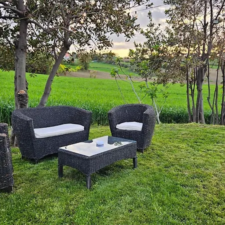 Il Trebbiatore * San Costanzo