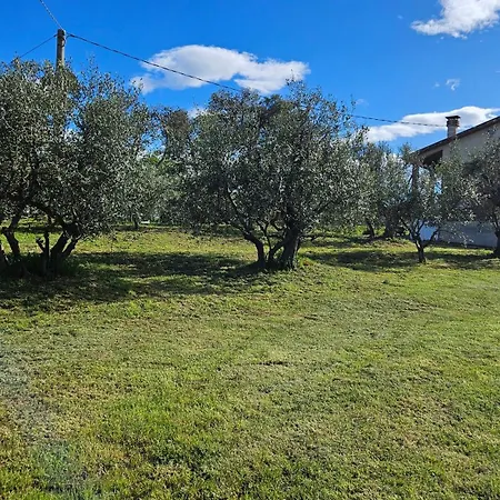 Casa de hóspedes Il Trebbiatore