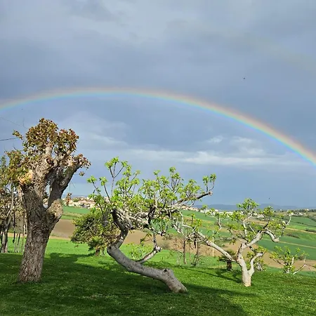 Casa de hóspedes Il Trebbiatore *