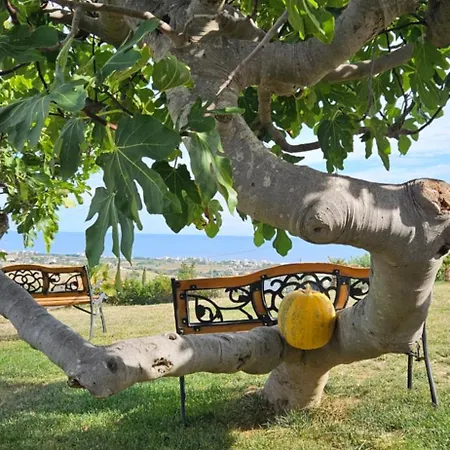 Il Trebbiatore San Costanzo