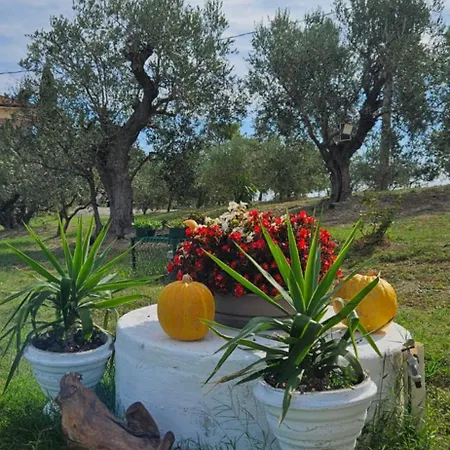 Il Trebbiatore Гостевой дом San Costanzo