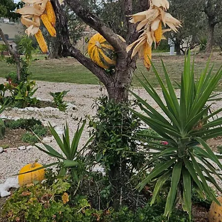בית הארחה Il Trebbiatore San Costanzo