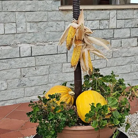 Il Trebbiatore Casa de hóspedes San Costanzo