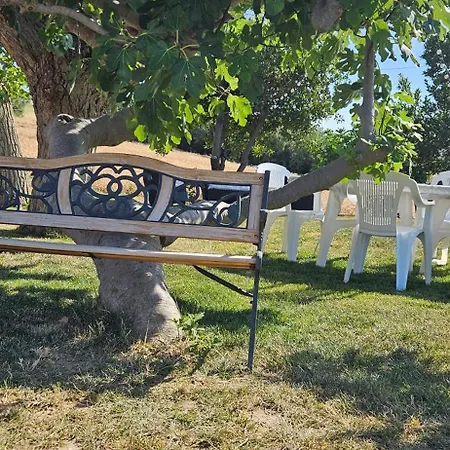 Il Trebbiatore בית הארחה San Costanzo