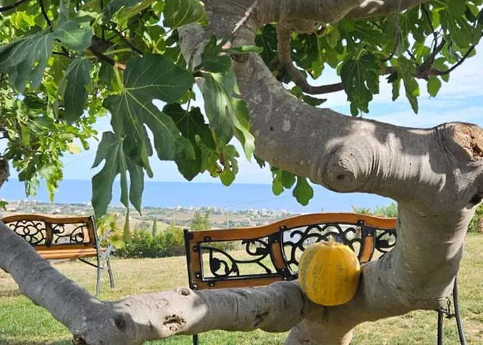 Il Trebbiatore San Costanzo