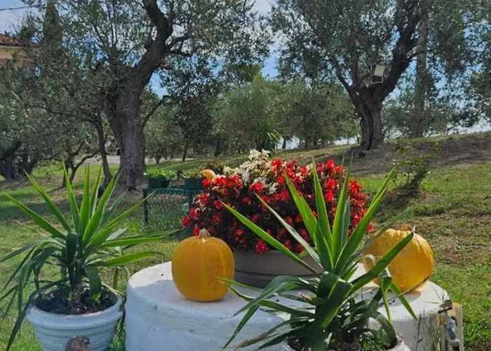 Il Trebbiatore Pensión San Costanzo