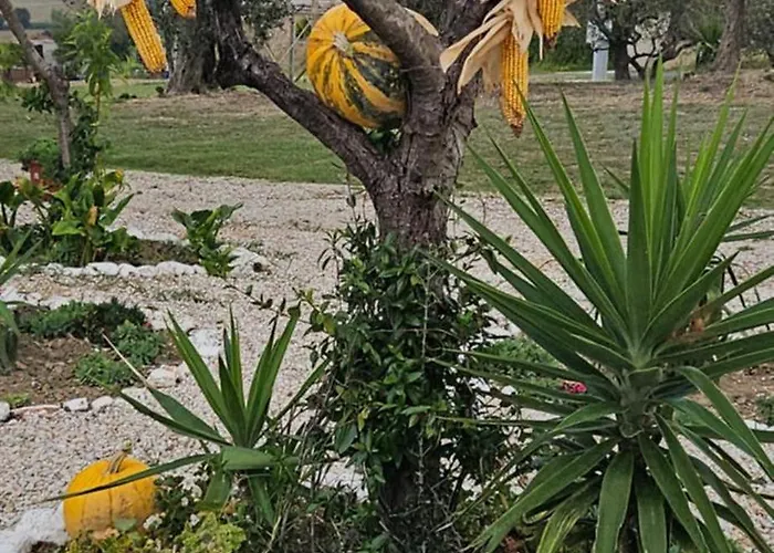 Pensión Il Trebbiatore San Costanzo